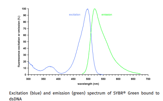 SYBR Green Fluorescent DNA Stain