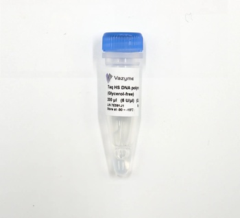 Vazyme - Taq HS DNA Polymerase (Glycerol-free)