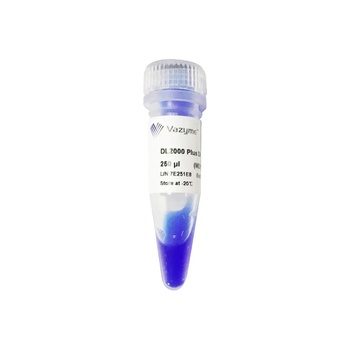 Vazyme - DL2000 Plus DNA Marker