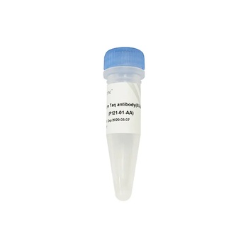 Vazyme - Champagne Taq antibody