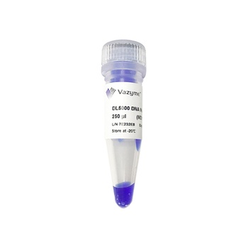 Vazyme - DL5000 DNA Marker