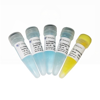 Vazyme - ChamQ SYBR Color qPCR Master Mix (Without ROX)