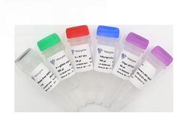 Vazyme - HiScript II 1st Strand cDNA Synthesis Kit (+gDNA wiper)