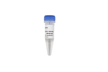 Vazyme - HiScript-TS 2 × PCR Mix