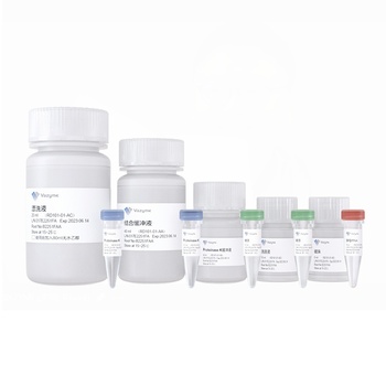 Vazyme - ResiDNA Hunter Residual DNA Sample Preparation Kit