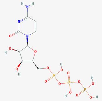 ara-Cytidine-5'-triphosphate (ara-CTP)