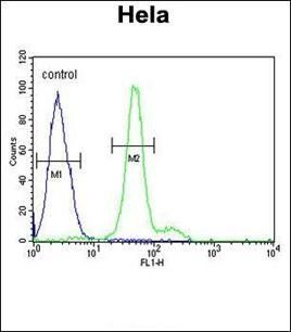 ELOVL5 antibody