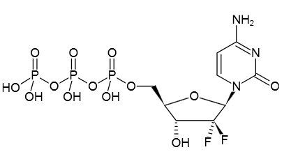 Gemcitabine-5'-triphosphate