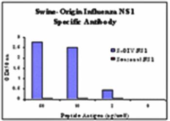 Swine H1N1 Nonstructural Protein 1 Antibody