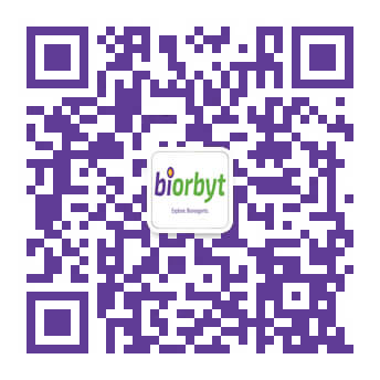 WeChat QR Code