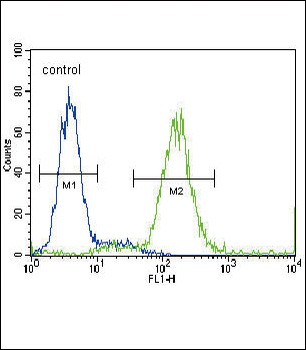AGTR1 Antibody (Center)