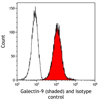 Galectin-9/Gal-9 Antibody