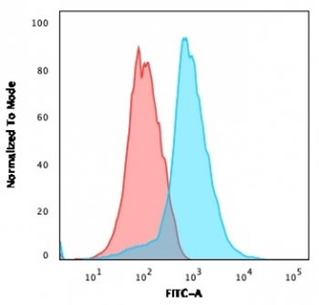 CD31 Antibody / PECAM-1