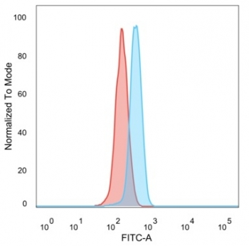 UBR2 antibody