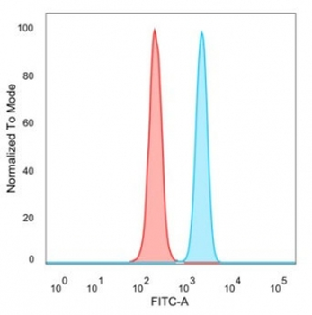 BATF3 Antibody / SNFT