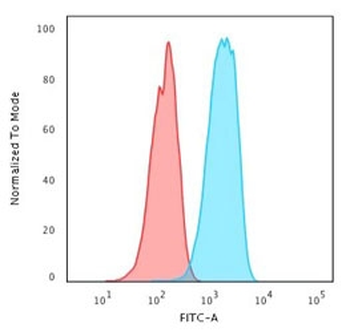 HER2 Antibody / ErbB2