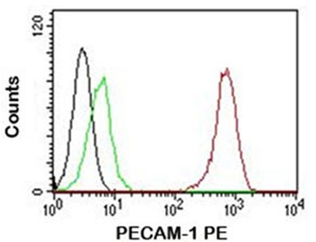 CD31 Antibody / PECAM-1