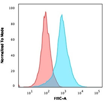 CD31 Antibody / PECAM-1