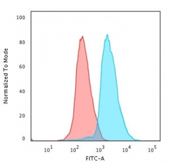 KRT7 Antibody / Cytokeratin 7