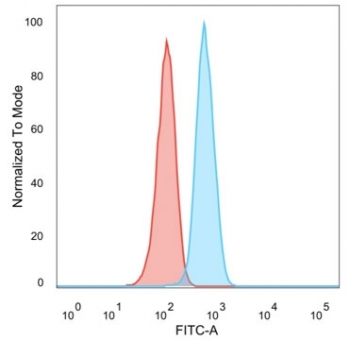 HER2 Antibody / ErbB2