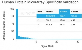 TROP2 Antibody