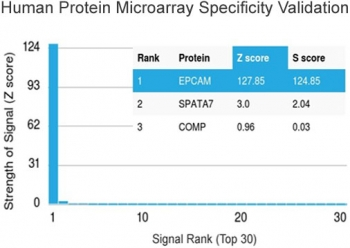 EpCAM Antibody / Extracellular domain