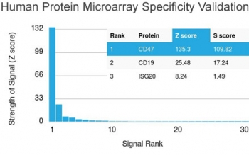 CD47 Antibody / IAP / Integrin Associated Protein