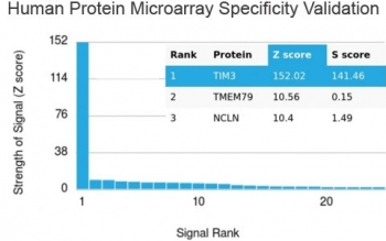 TIM-3 Antibody / HAVCR2