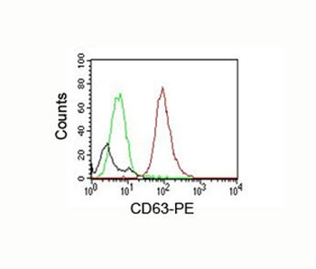 CD63 Antibody / LAMP-3