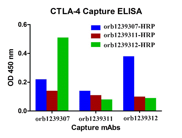 CTLA4 Detection Set (Risk Free)
