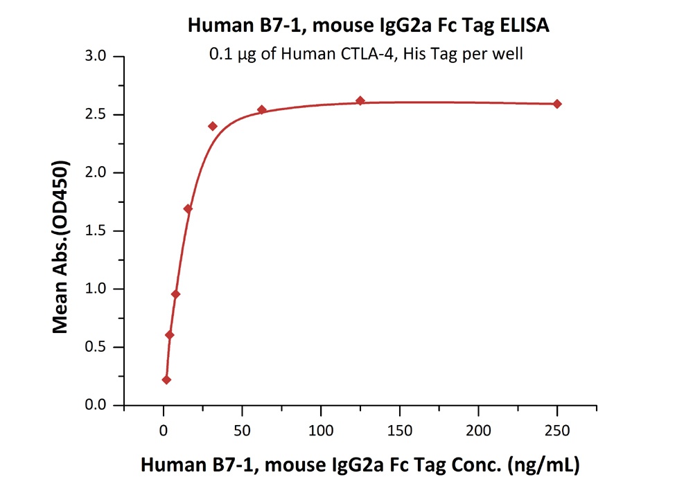 B7-1 / CD80 Recombinant Protein