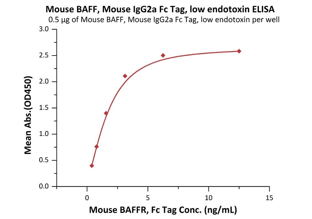 B7-1 / CD80 Recombinant Protein
