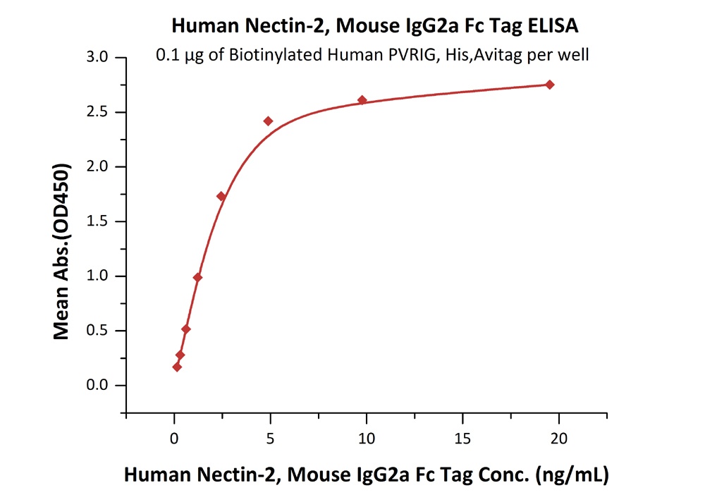 VEGF R2 / KDR Recombinant Protein
