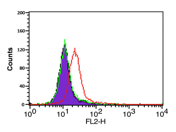 CXCR4 Antibody