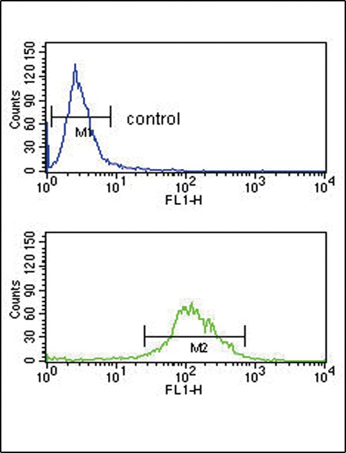 TAT Antibody