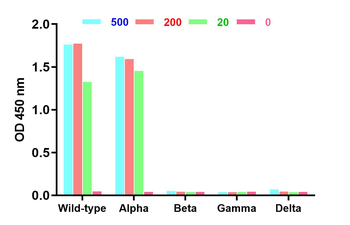 SARS-CoV-2 (COVID-19) Spike Neutralization Single Domain Antibody [A10]