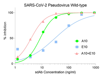 SARS-CoV-2 (COVID-19) Spike Neutralization Single Domain Antibody [A10]