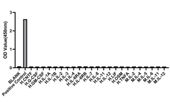 IL6 Antibody