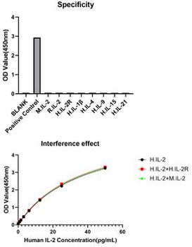 IL2 Antibody