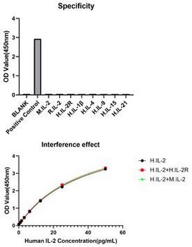 IL2 Antibody