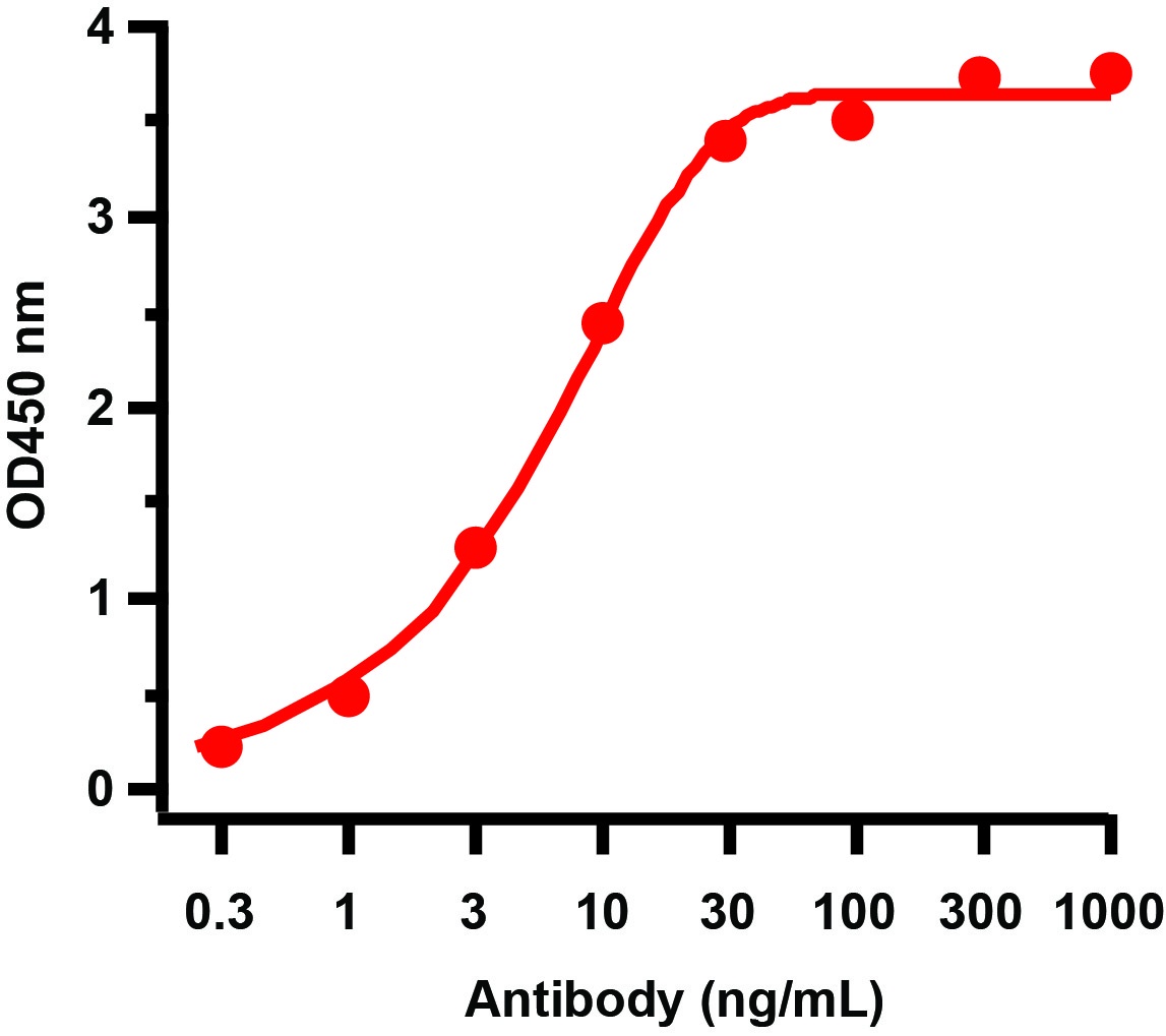 GAG Antibody