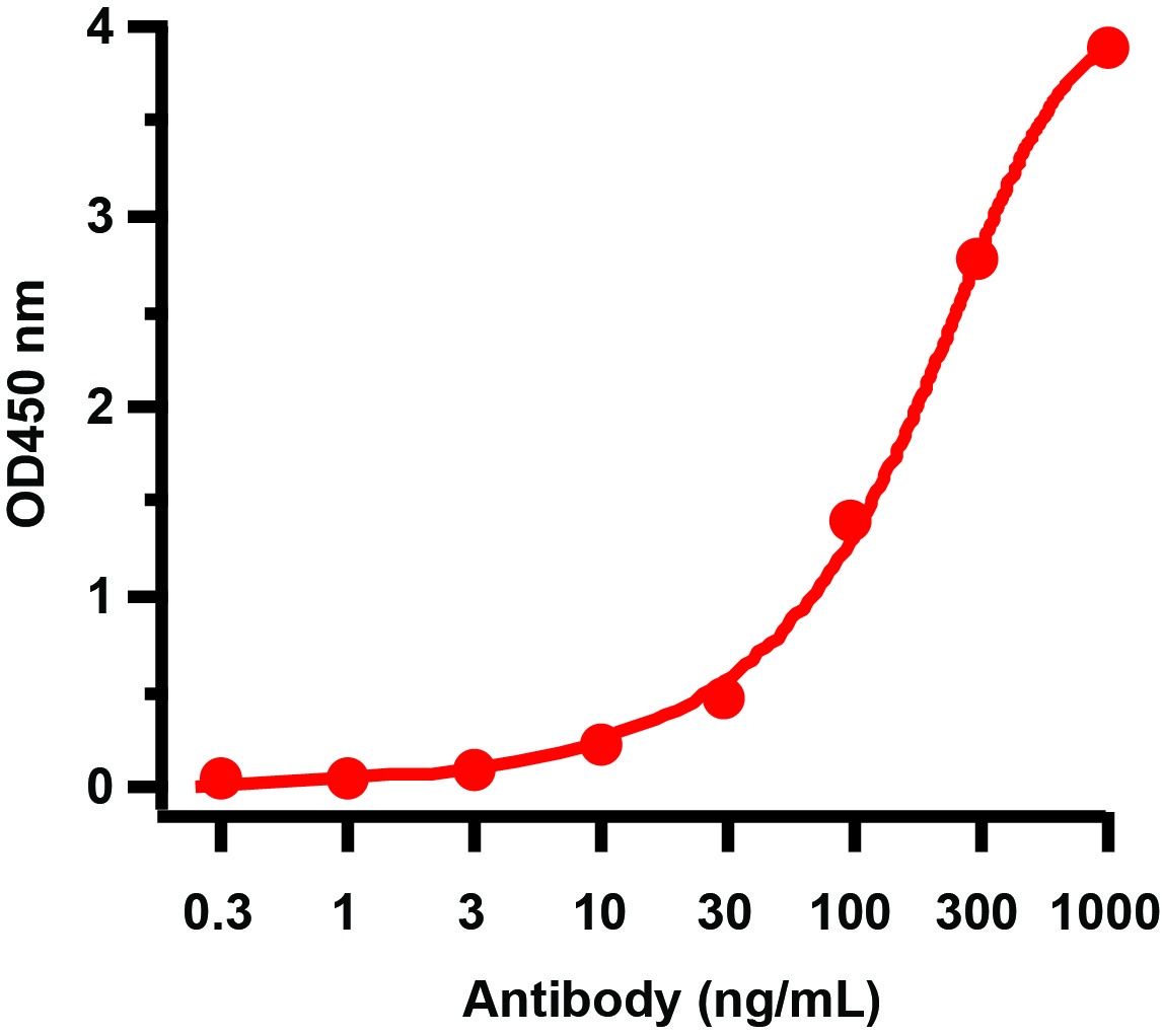 GAG Antibody (Biotin)