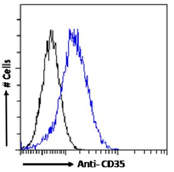 CR1 Antibody