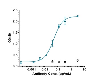 Anti-IL-6 / IFNb2 Reference Antibody