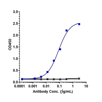 Anti-IL-6 / IFNb2 Reference Antibody