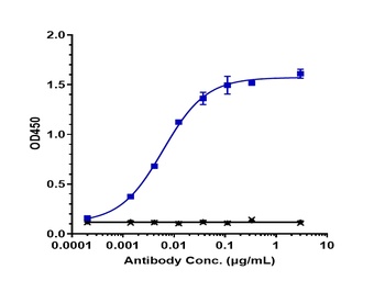 Anti-ERBB3 / HER3 Reference Antibody