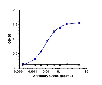Anti-ERBB3 / HER3 Reference Antibody