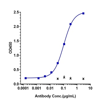 Anti-IL-22 Reference Antibody