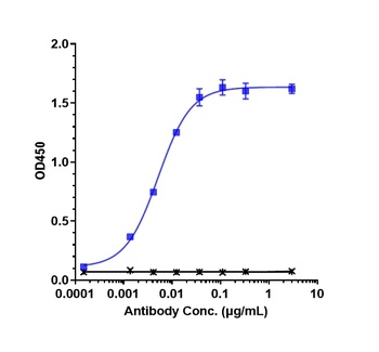 Anti-TNFRSF8 / CD30 Reference Antibody
