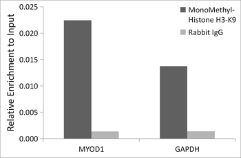 MonoMethyl-Histone H3-K9 antibody